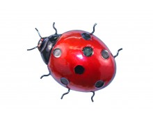 Ladybird Wall Art